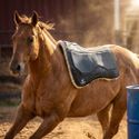 Manta Boots Horse EVOLUTION - Quadrada Lã - Cinza