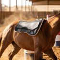 Manta Boots Horse EVOLUTION - Quadrada Lã - Preto