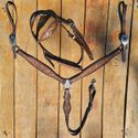 Conjunto Cabeçada e Peiteira de Couro Bordado 35352 - Boots Horse