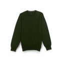 TRICOT CLÁSSICO MASCULINO GOLA CARECA VERDE MUSGO - RHOUKER