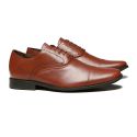 Sapato Oxford Social Masculino Rexton Pinhão Samello