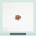 Kit Parafuso - 0,5 cm - Rose Gold