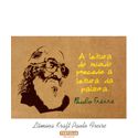 Lâmina Paulo Freire Leitura