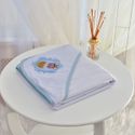 Toalha Bebê Quadrada Com Forro e Capuz Príncipe Moldura Azul
