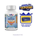 Multivitamínico Immune Defense com Própolis Vitgold 60 caps.