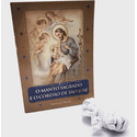 Livro : O manto sagrado e o cordão de São José