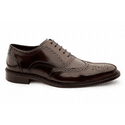 Sapato Social Masculino Oxford Brogue CNS Brown