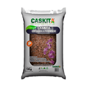 Substrato Orquídea 1KG