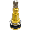 Válvula para Pneu sem Câmara TR-618A Latão Fiontar
