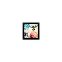Quadro 20x20 Beija-Flores - Moldura Preta