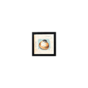 Quadro 20x20 - Conchas