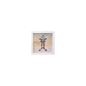 Quadro 20x20 - EUA TOILETTE TURQUESE
