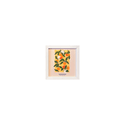 Quadro 20x20 - Fruits