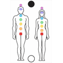 Gráfico Figura Humana Masc. e Fem. - Corpo Humano PS PVC