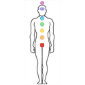 Gráfico Figura Humana Masculino - Corpo Masculino PS PVC