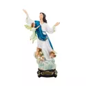Imagem Resina - Nossa Senhora da Assunção 20 cm