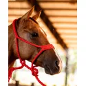 CABRESTO BOOTS HORSE - COM CABO TRANCADO DE PARACORD - VERMELHO