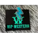 Broche para Chapéu 