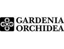 GARDENIA ORCHIDEA