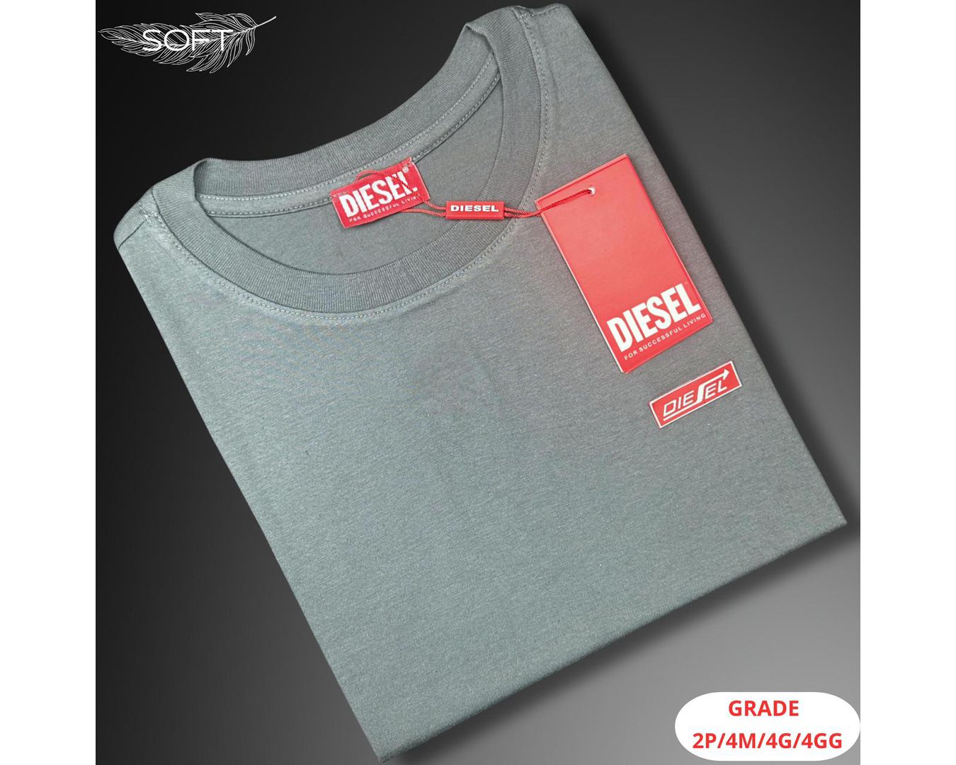 Camiseta Diesel Nacional - Cinza 