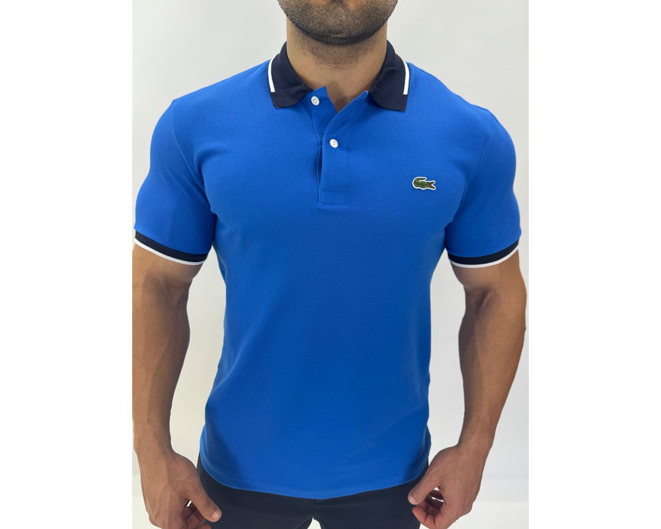 Gola Polo Lacoste Diferenciada Importada- Azul Royal 