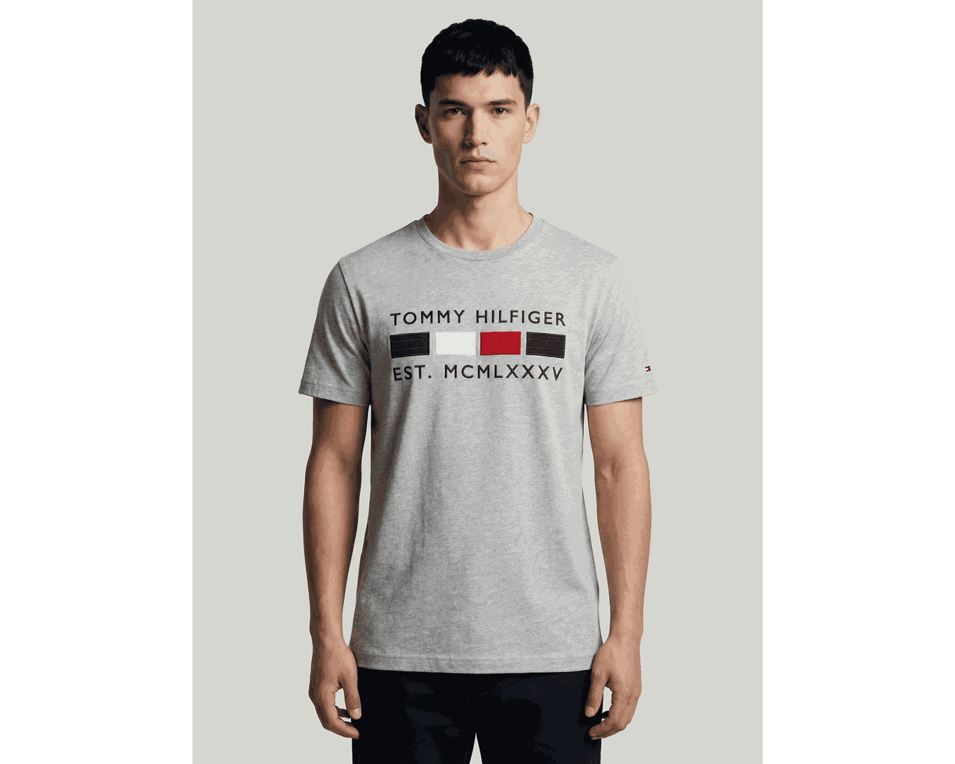 Camiseta Tommy Hilfiger 