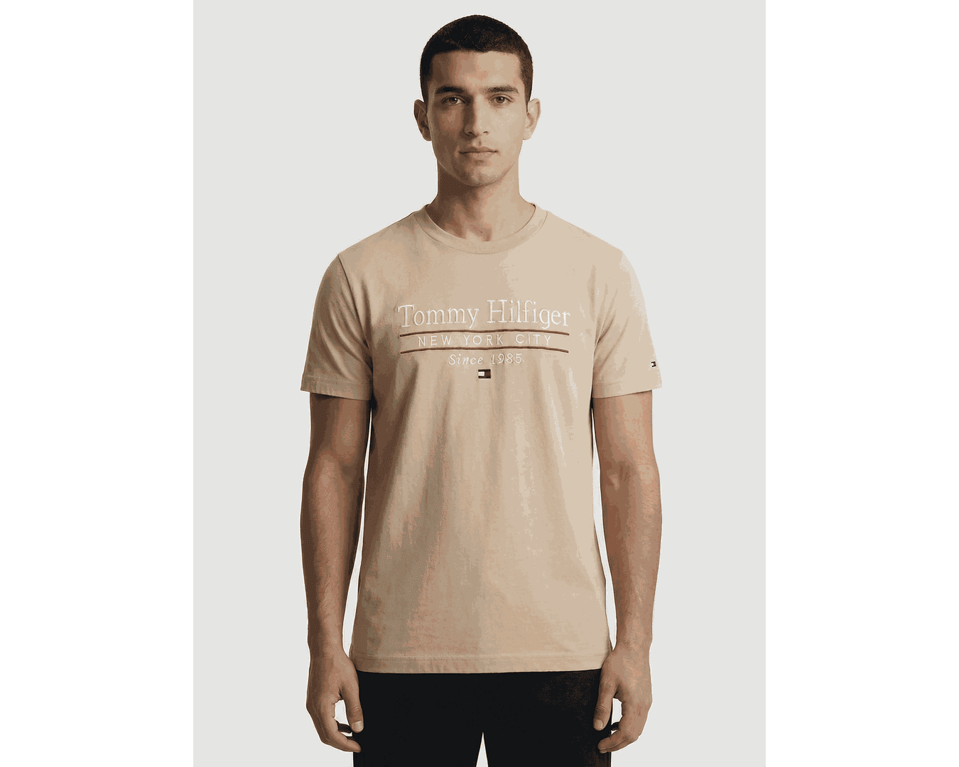 Camiseta Tommy Hilfiger 