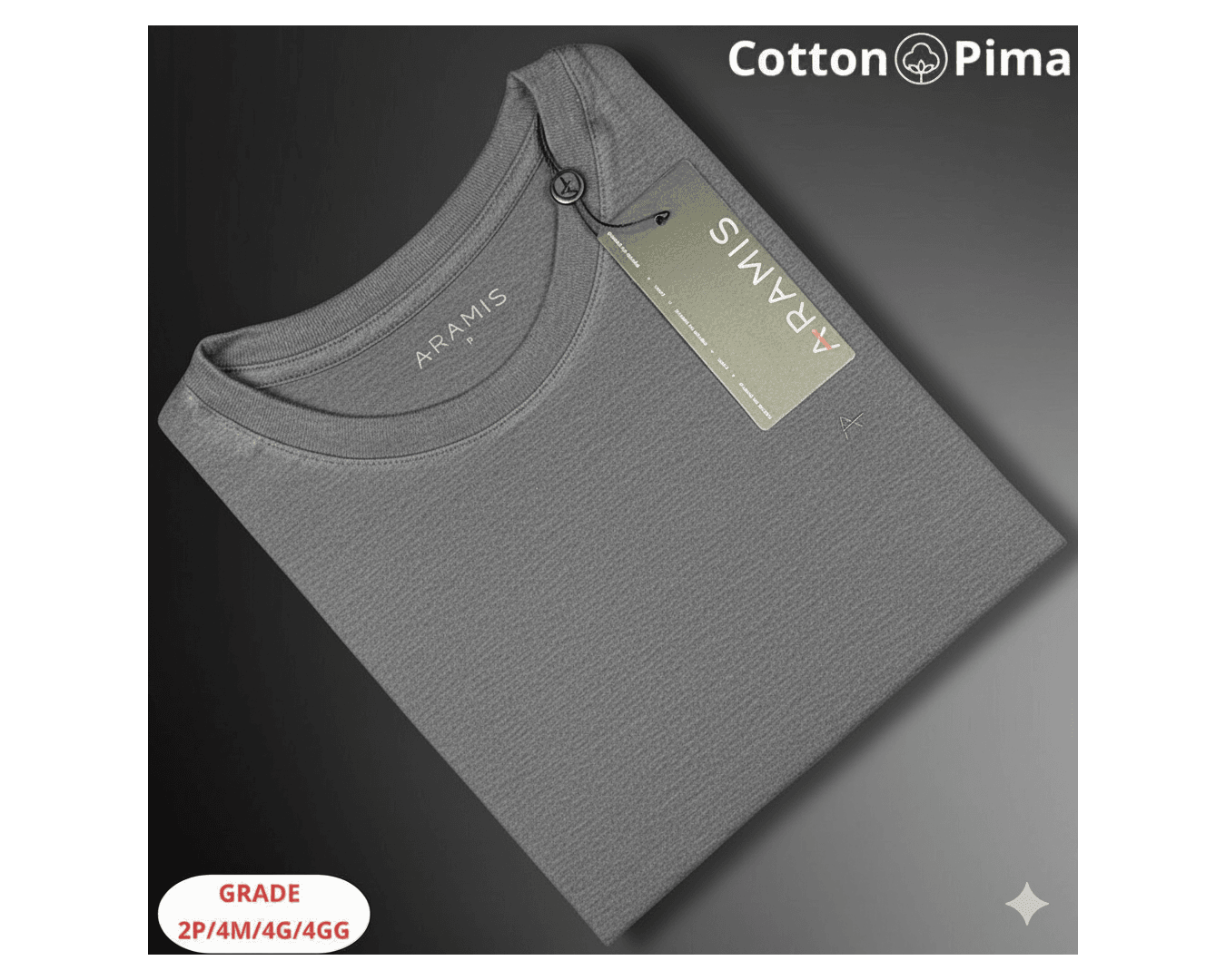 CAMISETA ARAMIS NACIONAL - Cinza