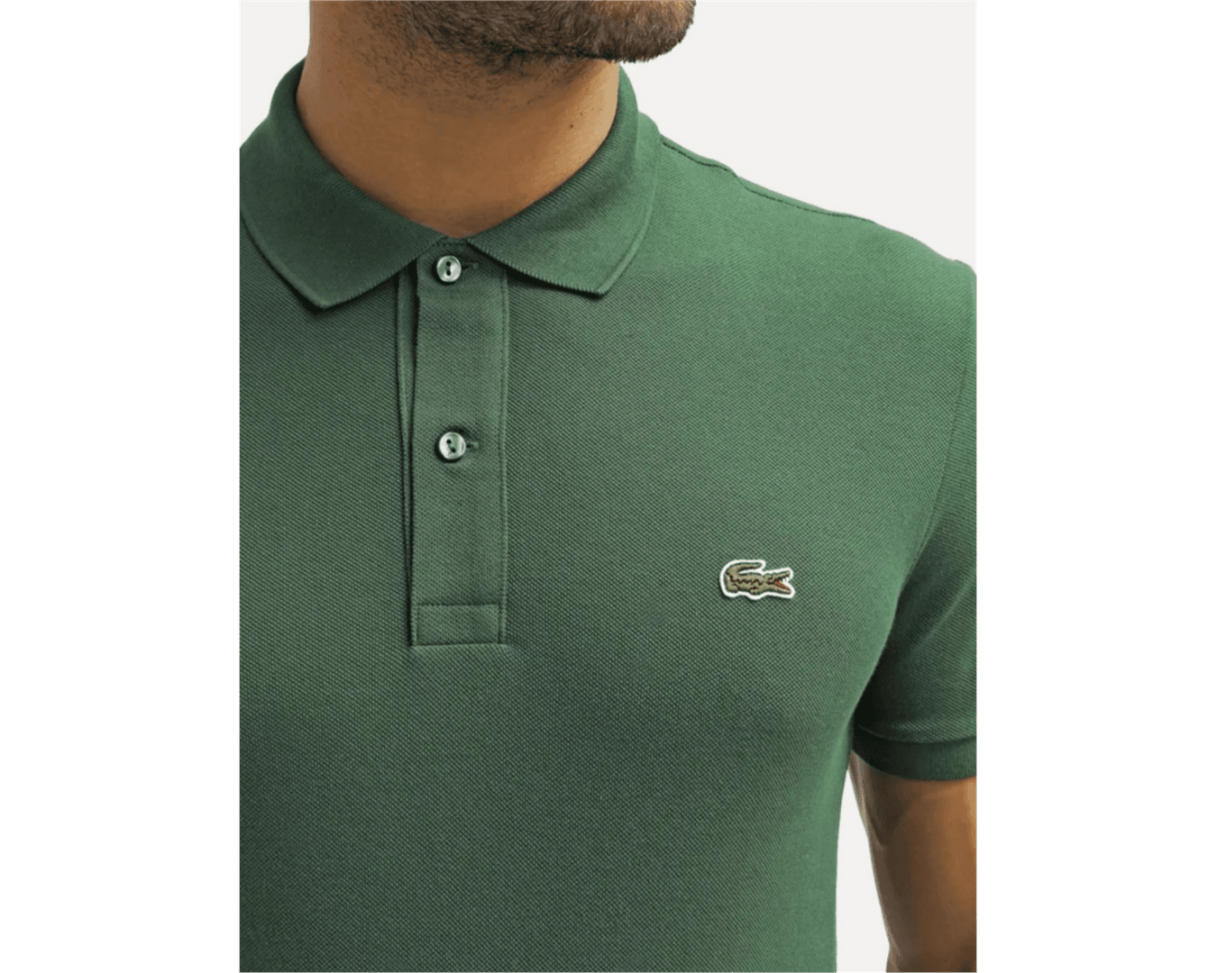Gola Polo Lacoste Original Importada - VERDE MUSGO