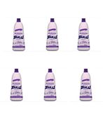 Kit c/6 Removedor à Base de Acetona Zulu Seduction 500ml