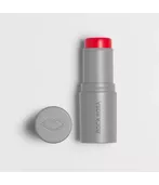 Boca Rosa Stick Cor Blush Multifuncional 6g Salvamor