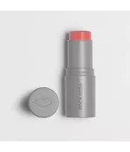 Boca Rosa Stick Cor Blush Multifuncional 6g Beagá