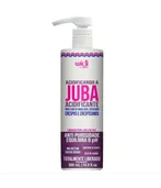 Acidificando a Juba Acidificante 500ml