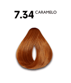 Haskell Coloração Creme Permanente Excllusiv Color 7.34 Caramelo 50g