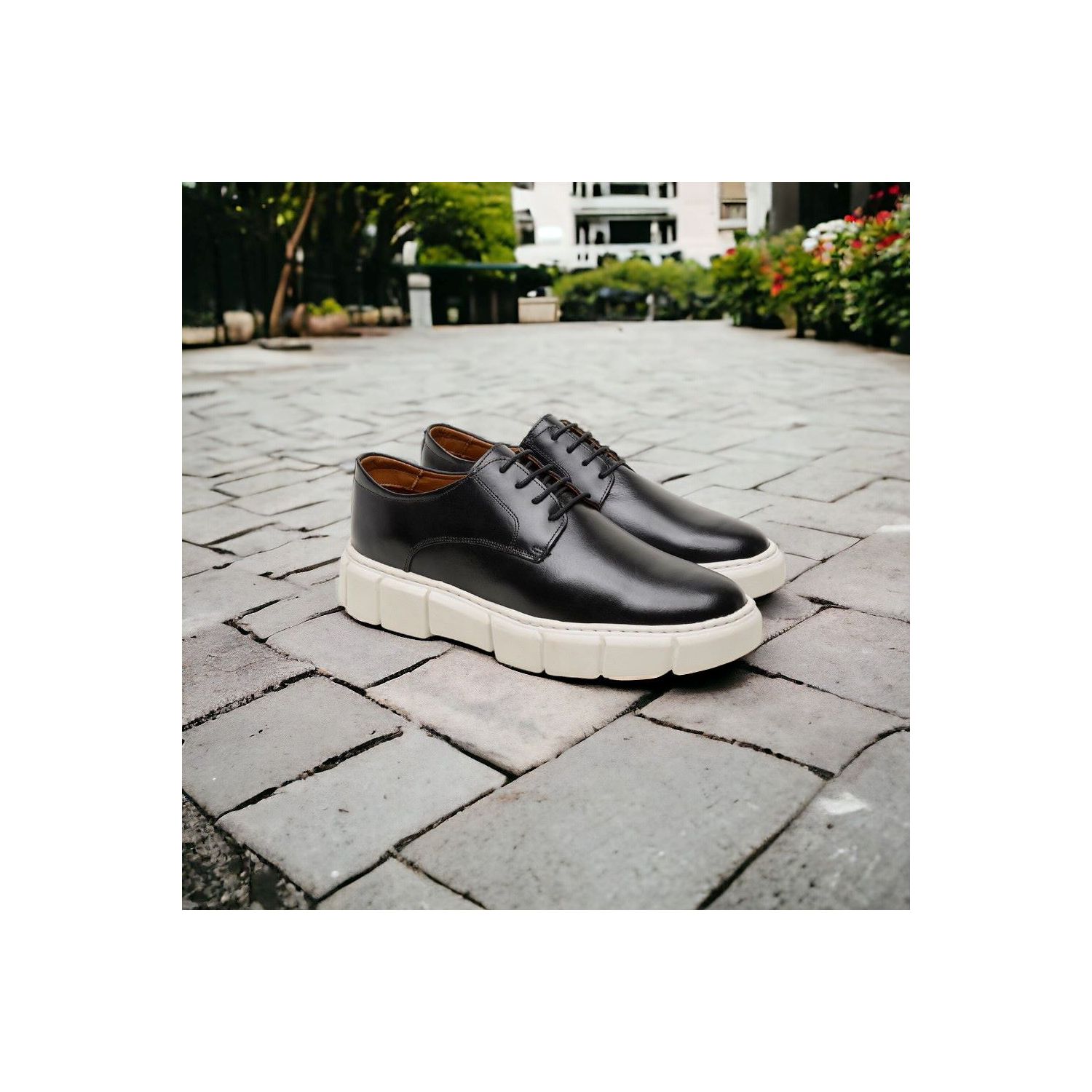 Sapato Damers Oxford Masculino Preto