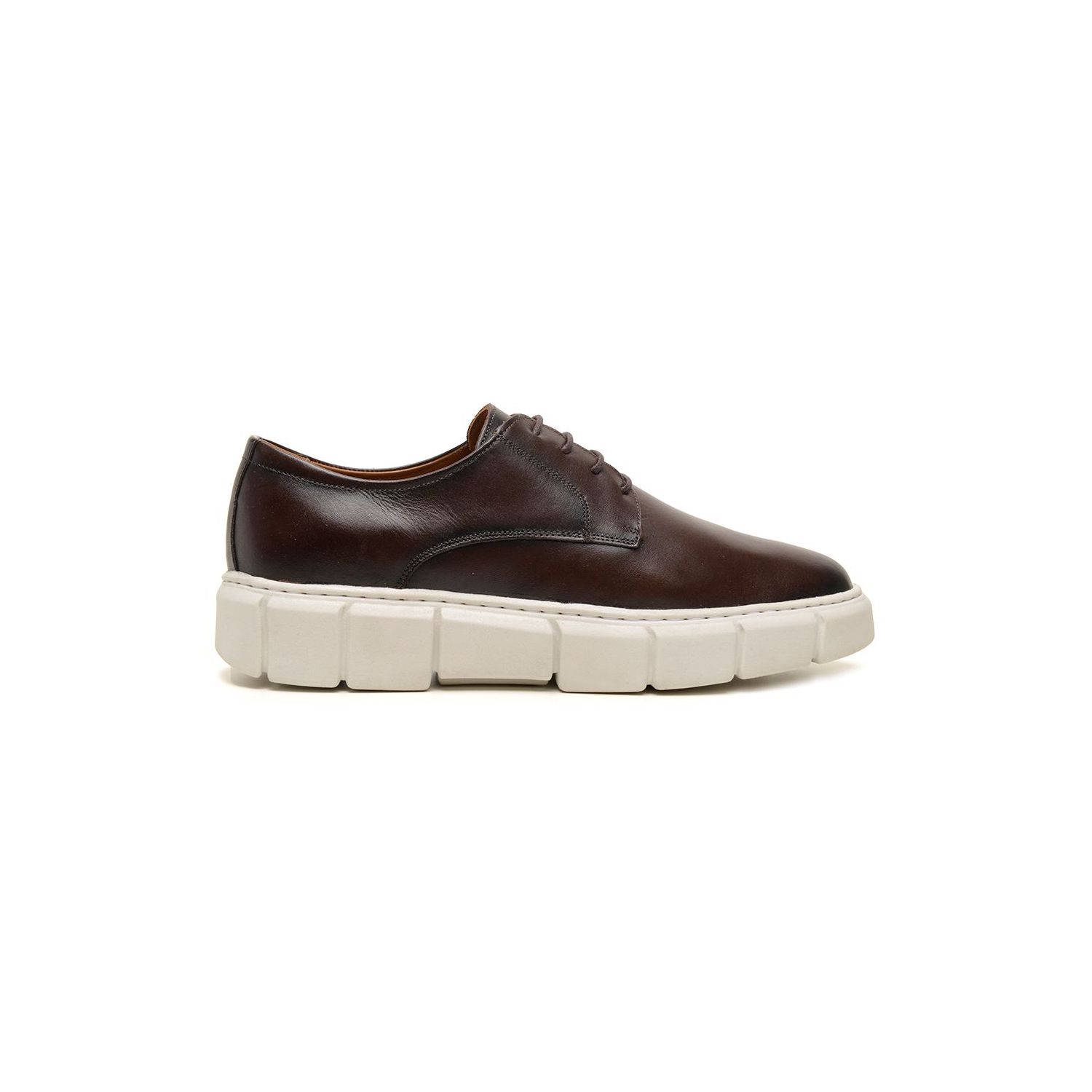 Sapato Damers Oxford Masculino Café - DAMERS