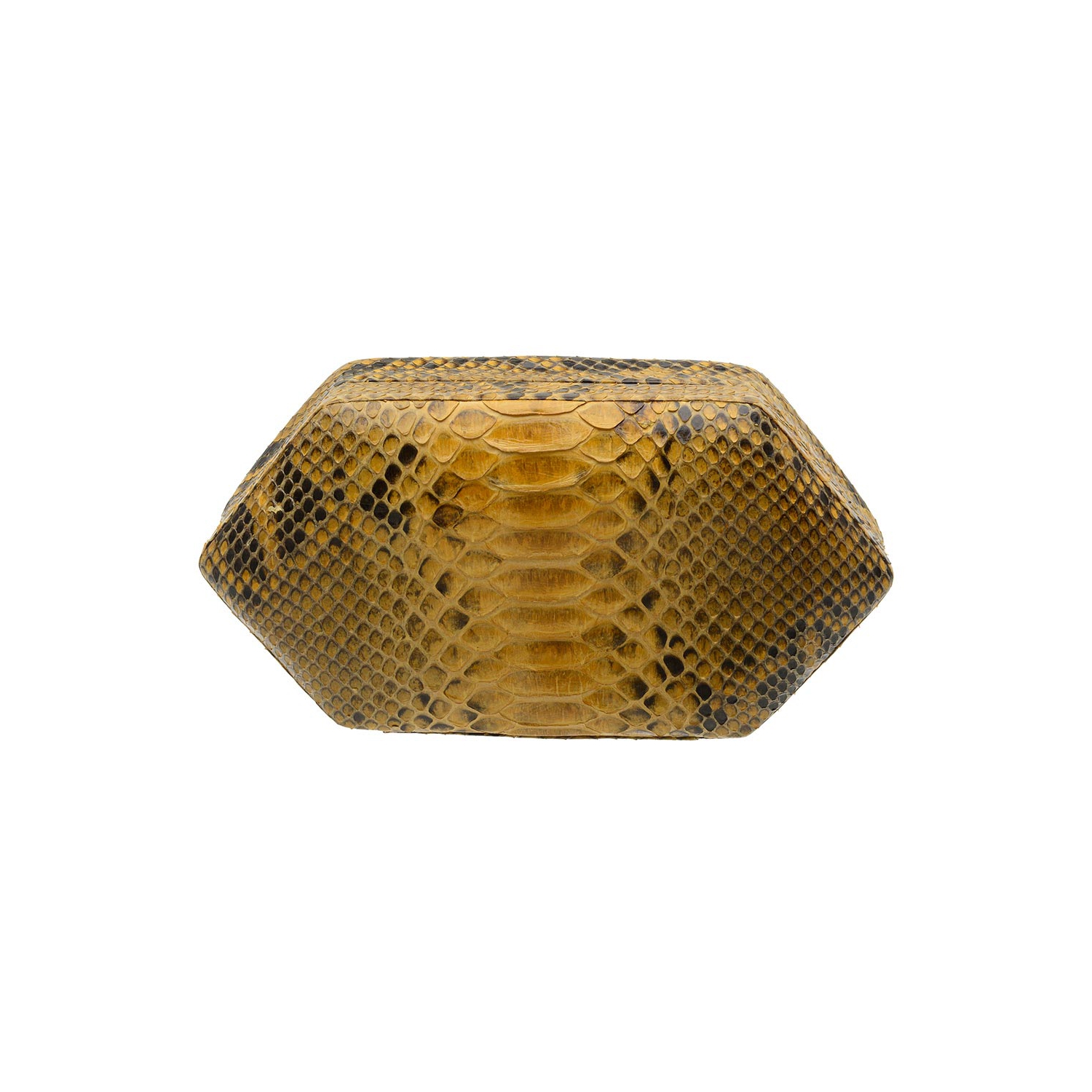 Clutch em Cobra (Python reticulatus) Mostarda