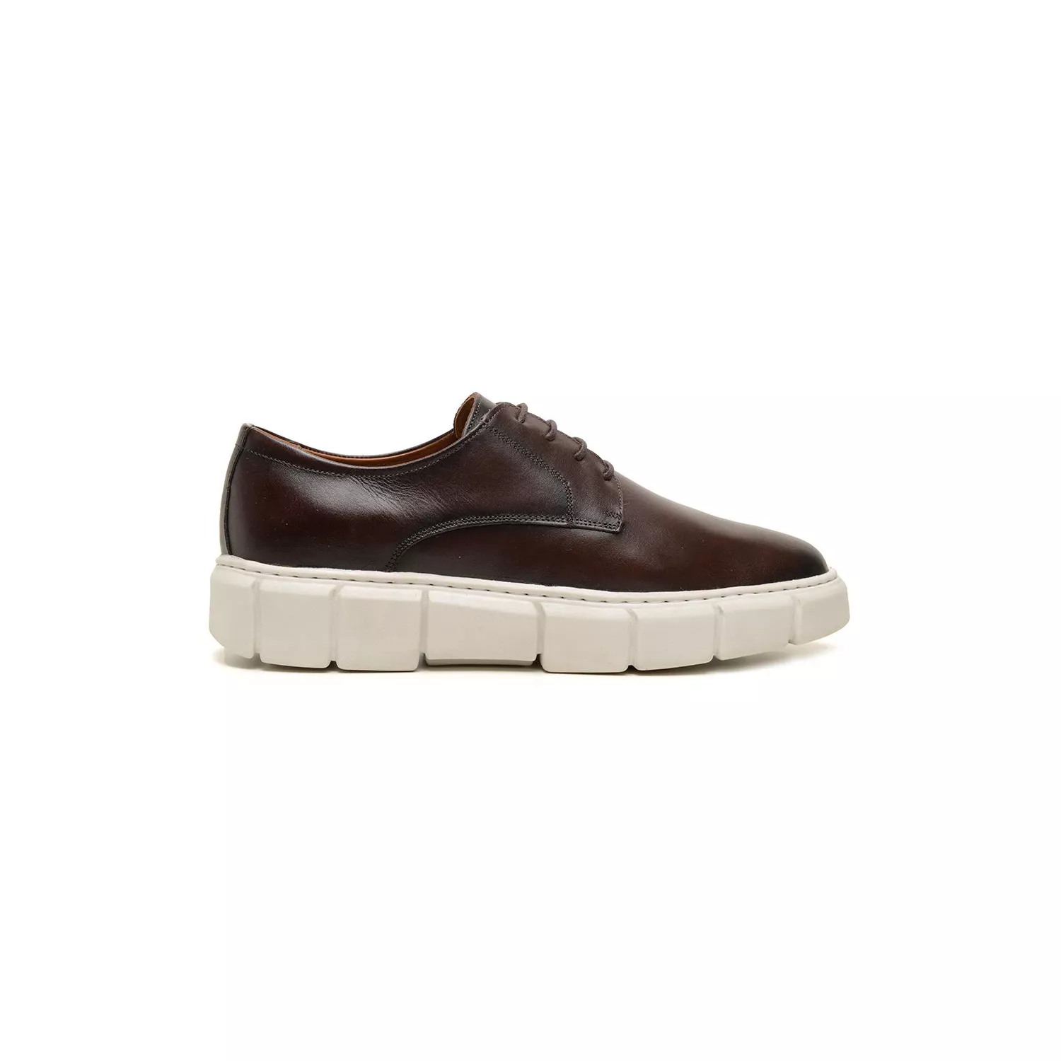 Sapato Damers Oxford Masculino Café - DAMERS
