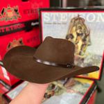 CHAPÉU DE FELTRO STETSON TABACO - 64421