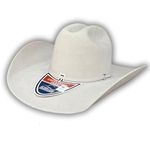 CHAPÉU ELDORADO LÃ GELO MIST GRAY NASHVILLE EC378