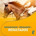 MO TURBO ORGANNACT - KIT COM 03 UNIDADES