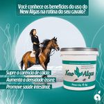 SUPLEMENTO MINERAL PARA EQUINOS E BOVINOS NEW ALGAS - 4 KG UNIVITTA