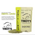 Erva Mate para Tereré Sabor Menta e Limão Trots - 500g