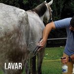 Kit Raspadeira para Cavalo - Raspadeira Multiuso