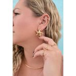 BRINCO ESTRELA DO MAR PREMIUM 