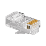 CONECTOR MACHO RJ45 CAT5E - SOHOPLUS