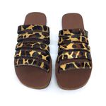 Rasteira Érica - Animal Print