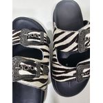 Papete África Slide Fivela Estampa Zebra