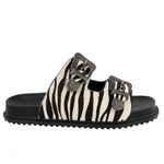 Papete África Slide Fivela Estampa Zebra