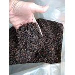 Casca de Arroz Carbonizada 500g